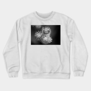 attachment Crewneck Sweatshirt